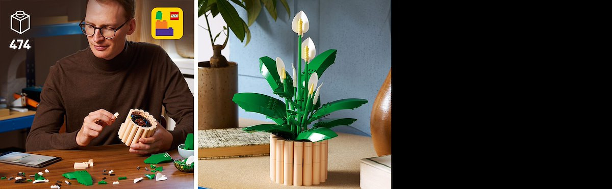 LEGO - 11504 SPATIFILLO LEGO BOTANICALS - 2250017838 LEGO 15 | Trony.it